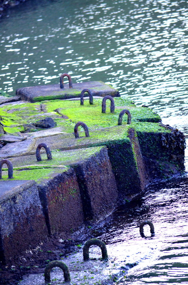 Pier