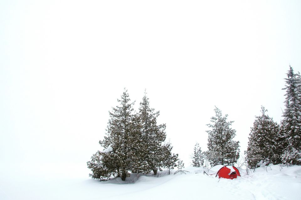 A tent stands next to some trees during an all out white out in the northern reaches of the country 
