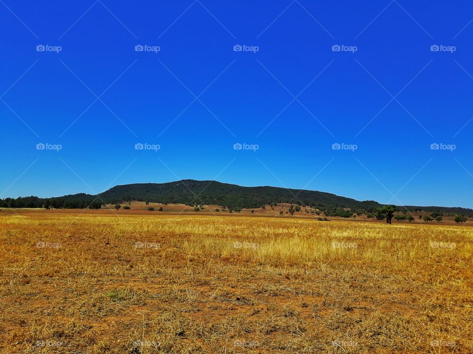 A country scenery in Australia