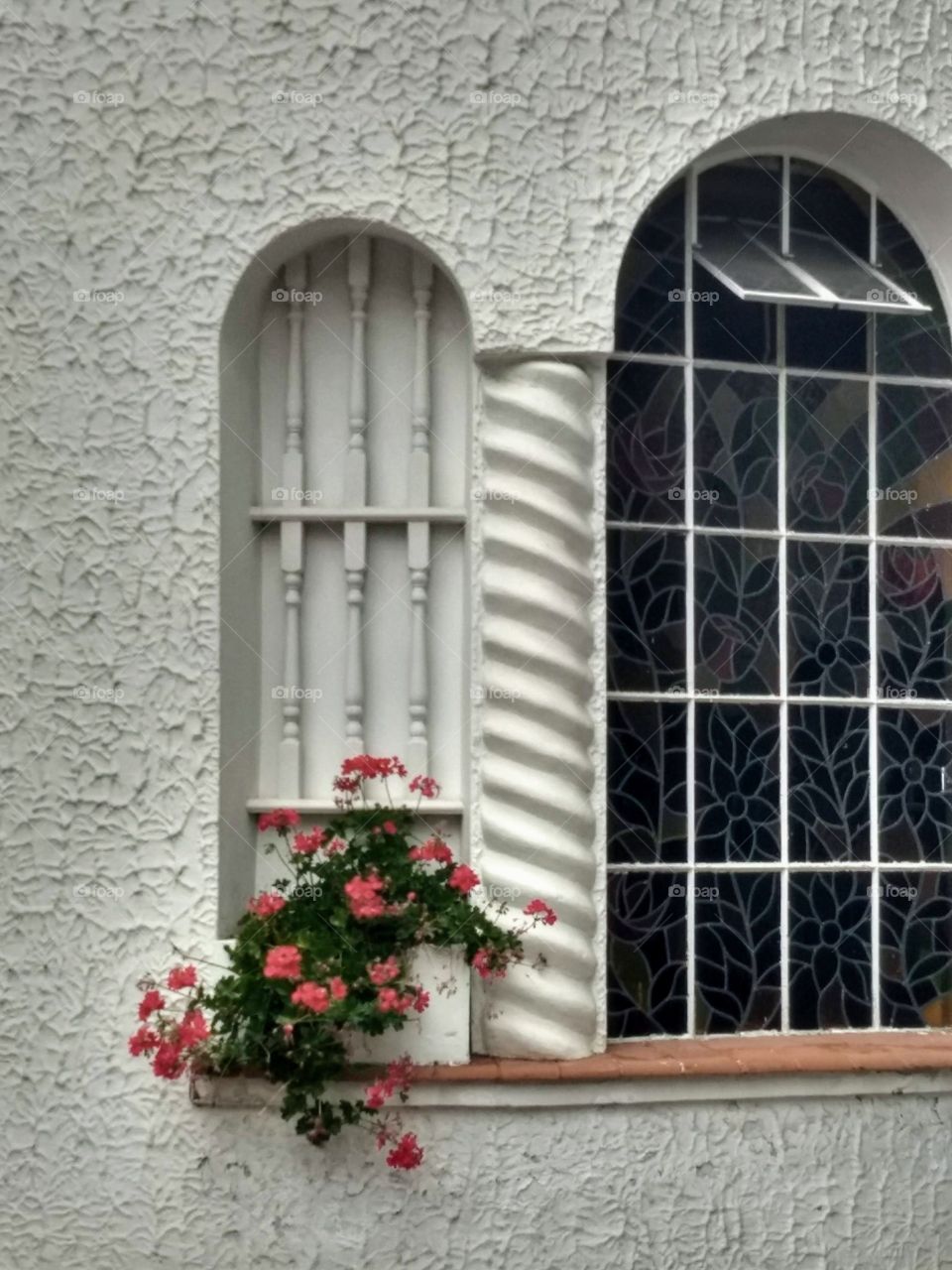 Flowers, windows and Art