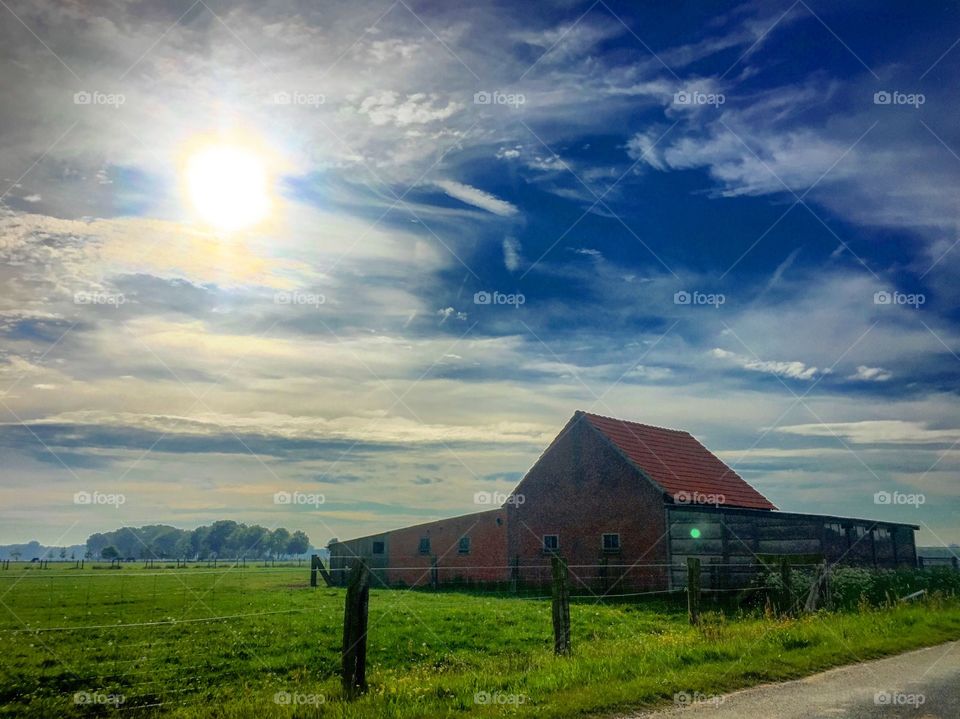 Country roads and farms under a sunny sky