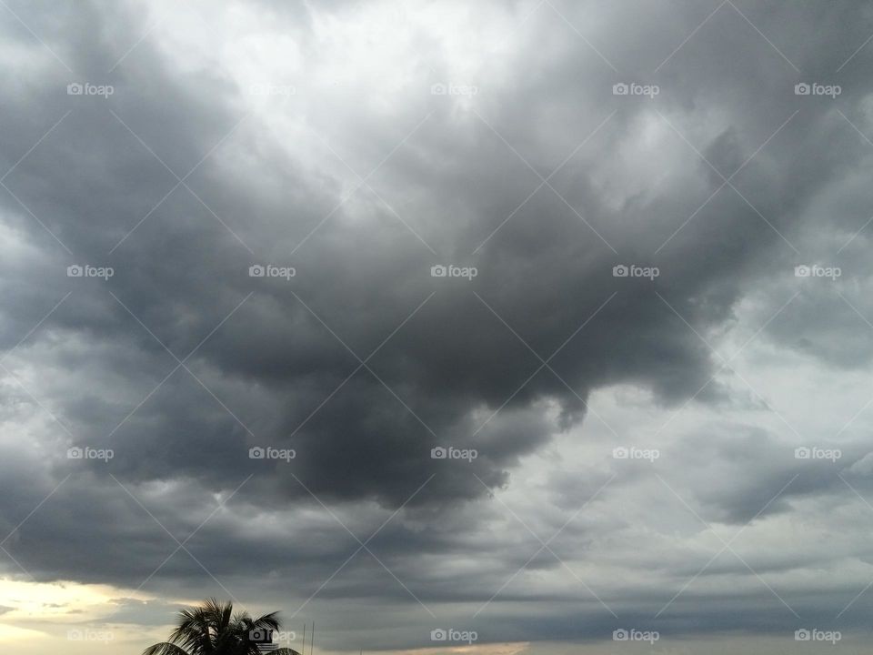 Clouds are white and brown in colour which are see floating in the sky.