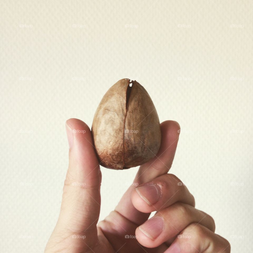 Person holding seed of an avocado