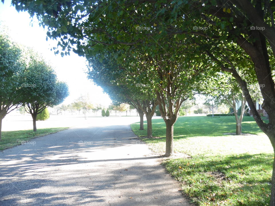 Front formal driveway 