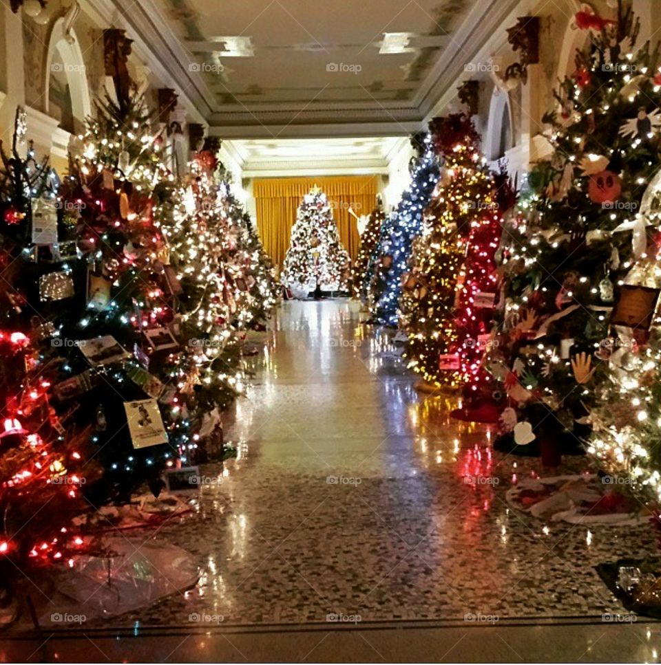 Christmas tree display SD State Capitol