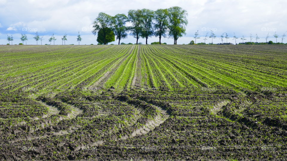 Fields in Drenthe the Netherlands