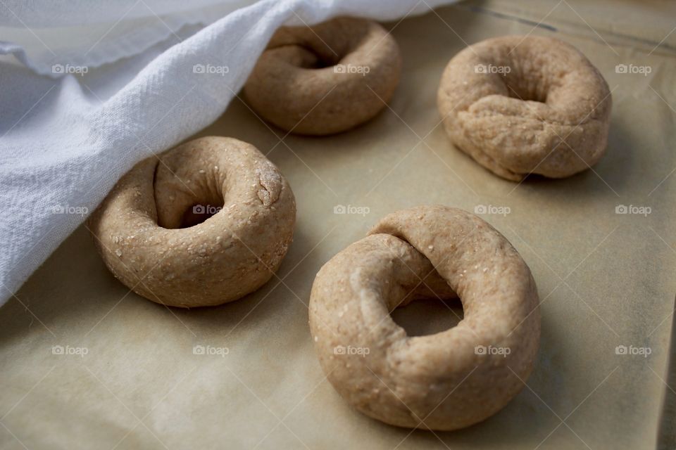 Sourdough spelt and whole wheat dough for bagels on parchment paper, being covered with a flour-sack towel to rise 