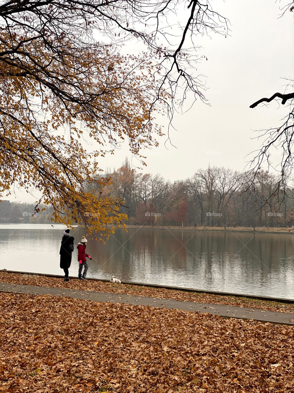 Is autumn loneliness or sadness? 