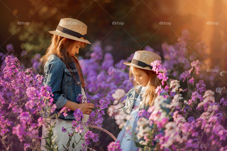 Little sisters in a blossom meadow at sunset 