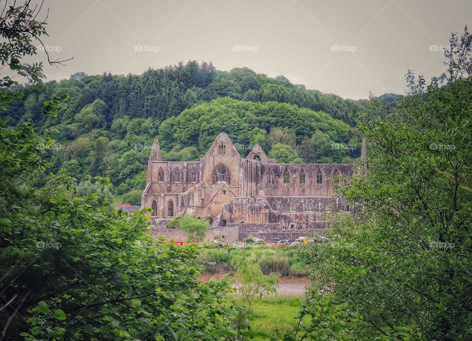 Tintern Abbey