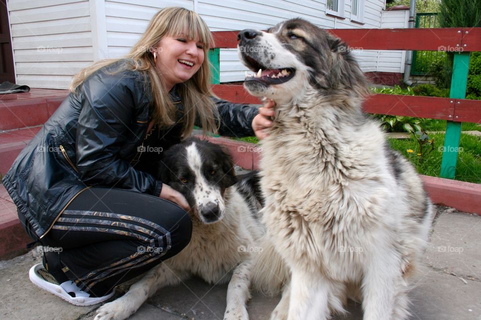 Smiling dogs 