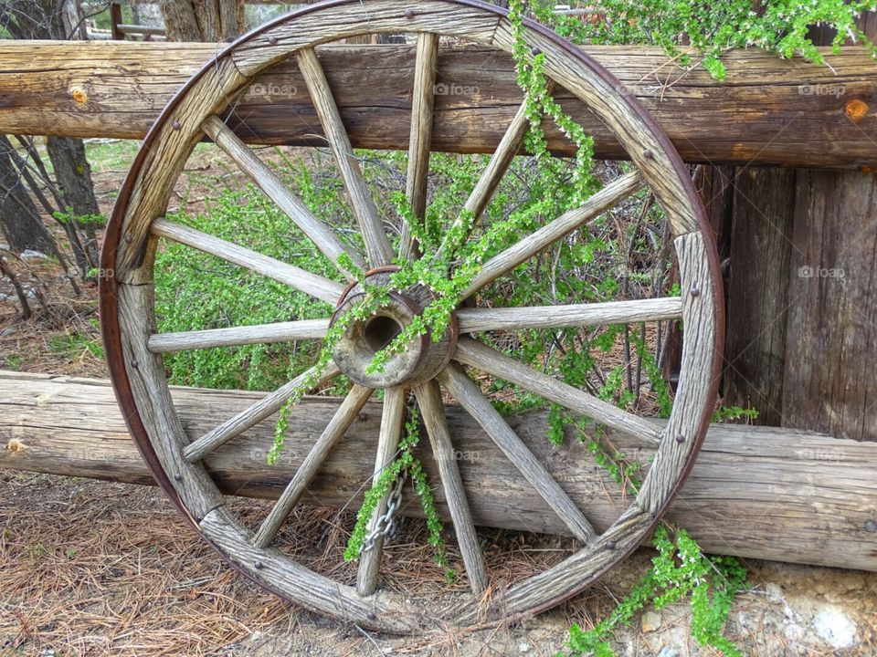 Spare Wheel. saw this beautiful old wagon wheel with wild plant at Deer Valley Ranch and loved it!