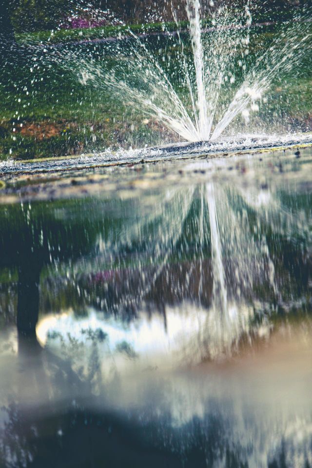 Reflection of a sunny day 