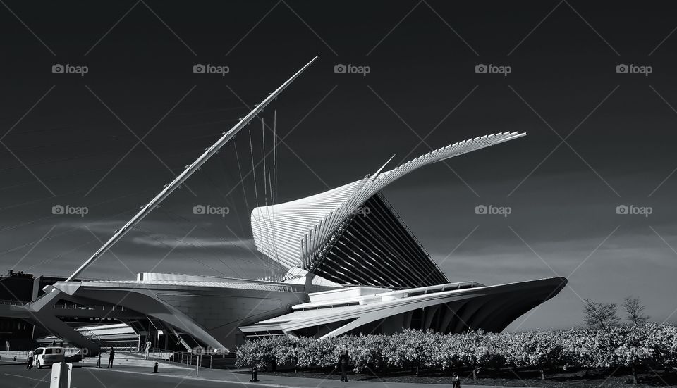 Calatrava . Milwaukee Art Museum 