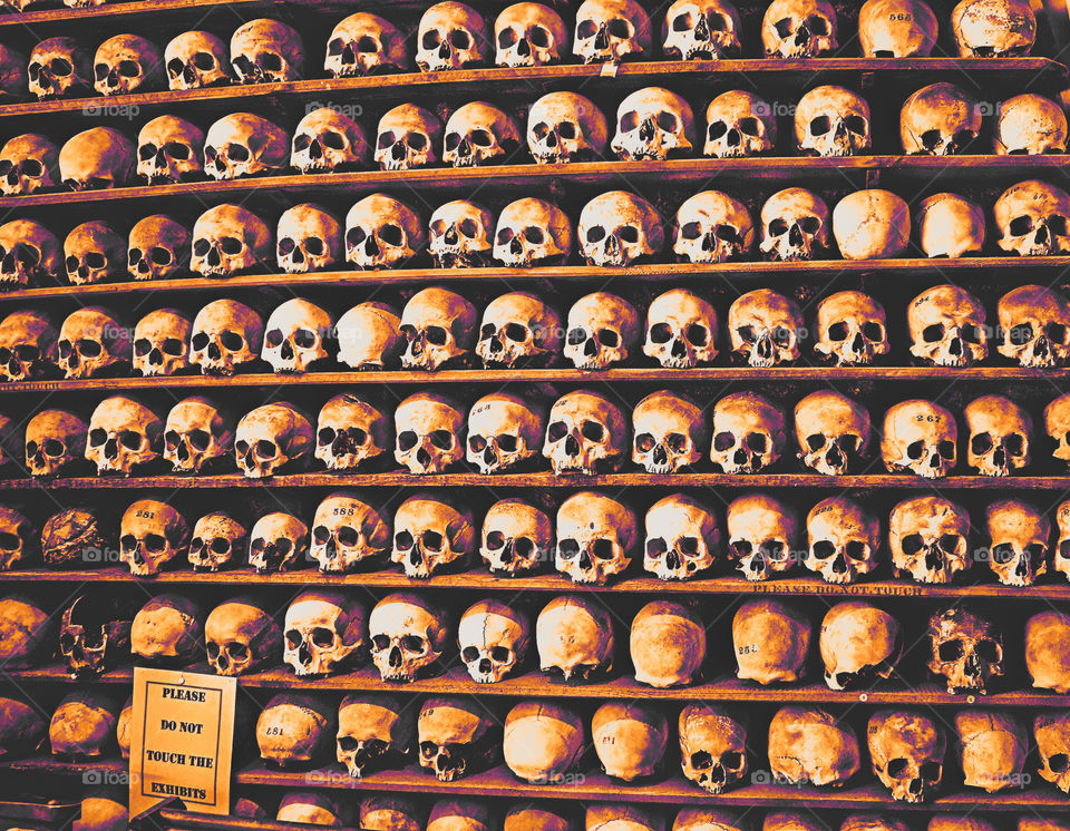 Rows on human skulls on shelves, with an orange tint