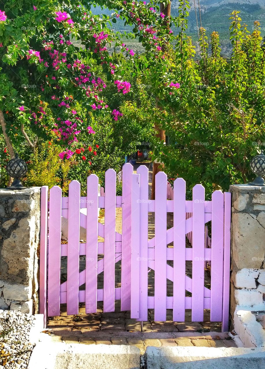 Lovely colors, beautiful nature around!