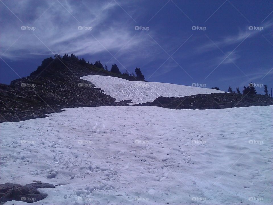 Looking up the hill with snow in Mt. Rainier National Park.