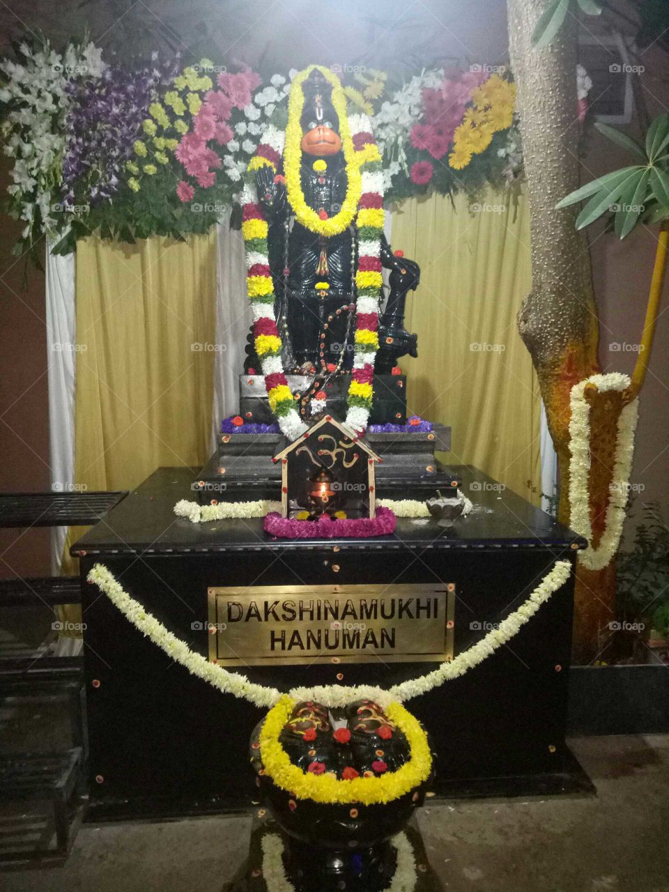 Dakshin Mukhi Hanuman god