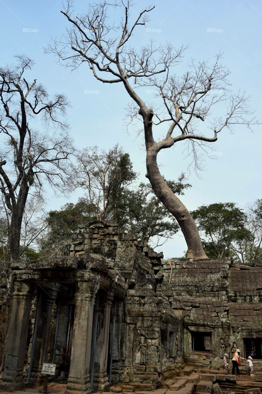 Beautiful Angkor Wat temple in Cambodia shot with my Nikon 