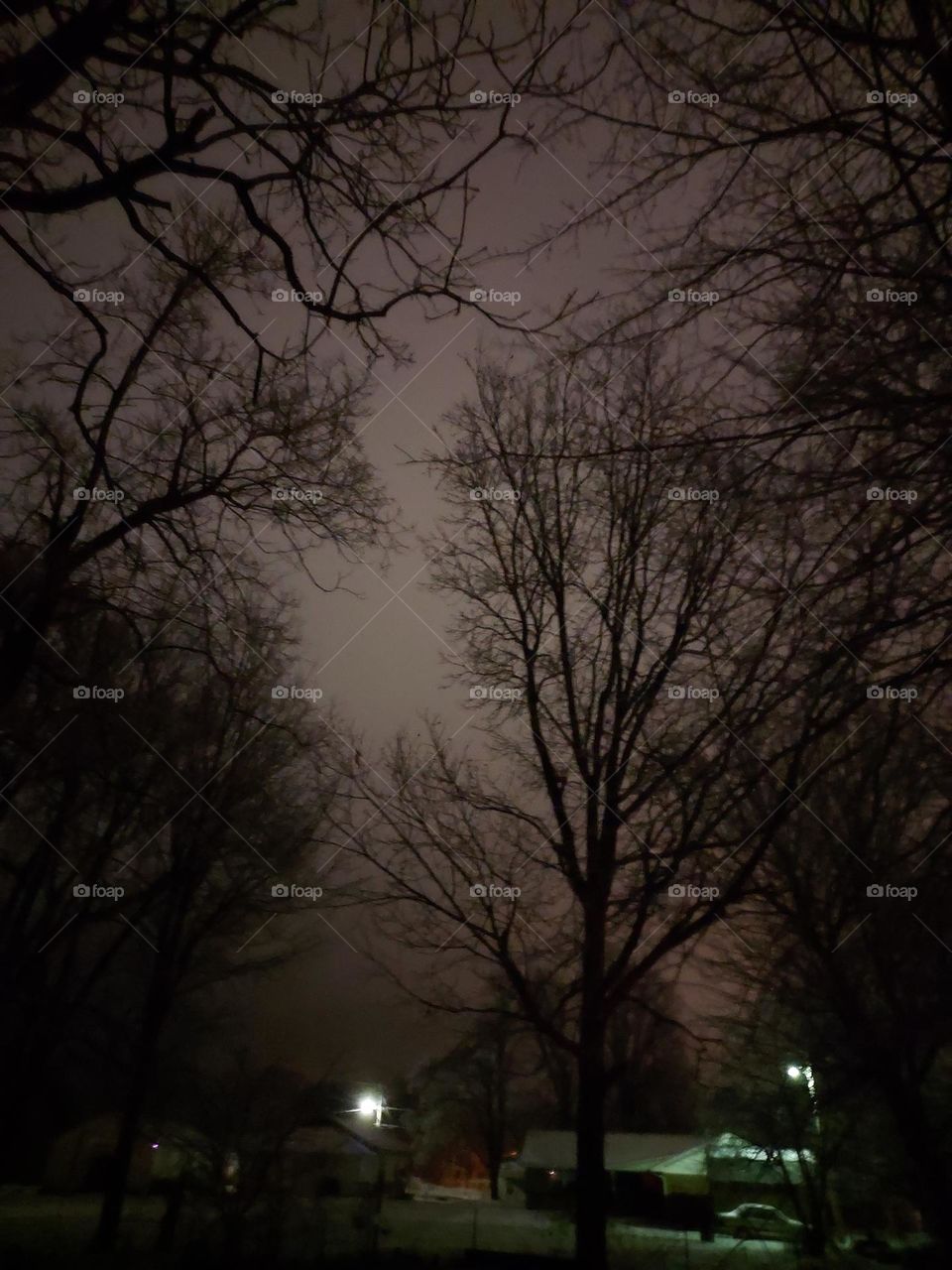 it was a cold wintery night last night, looks as cold as it is but maybe it'll begin to warm tomorrow.