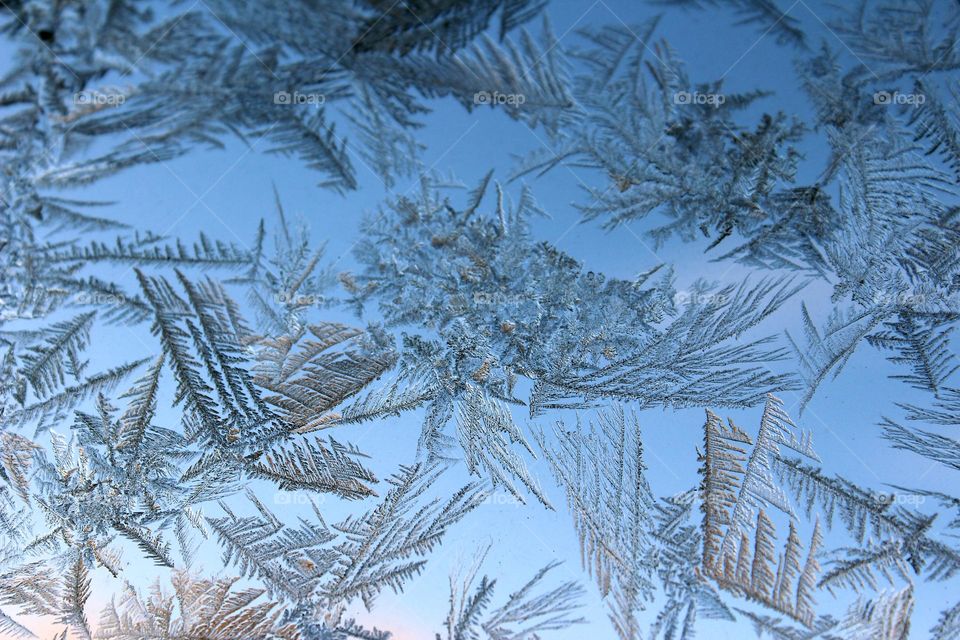 Beautiful formed ice on window