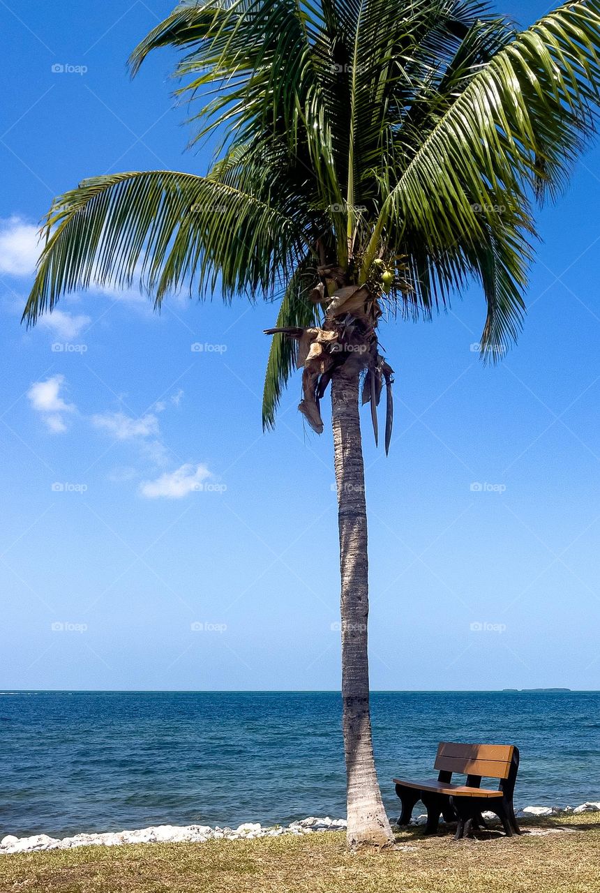 KEY WEST SKIES