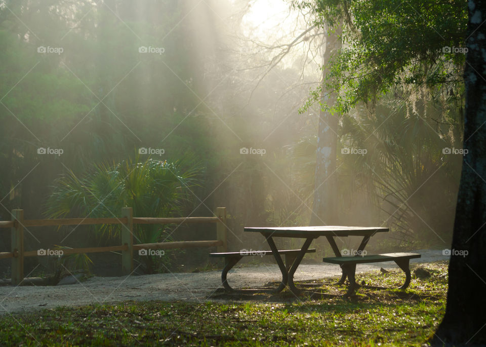 picnic table in a wooded area of a park with beautiful bright sunrays beaming down on the table