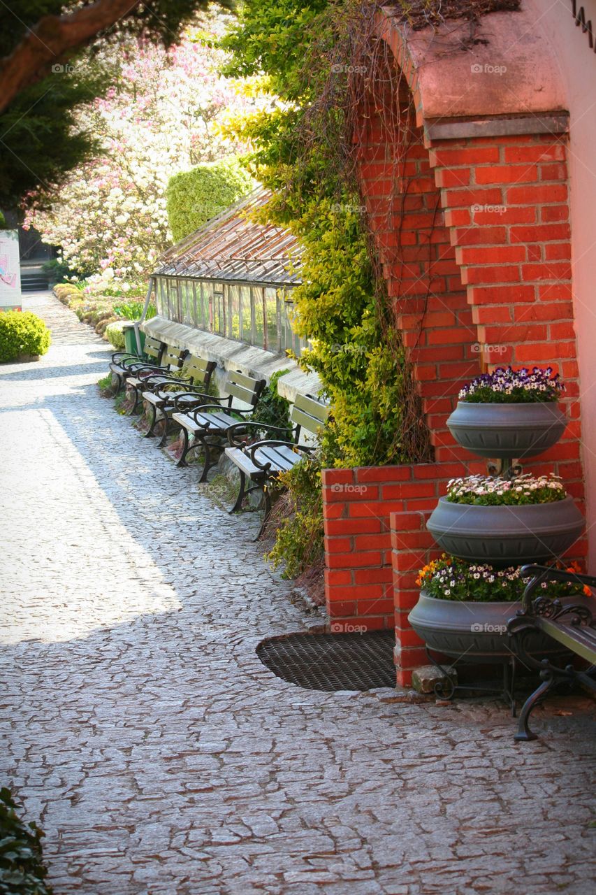 Rest a little bit in the company of a few plants - you'll feel much better!

Botanical Garden, Wrocław