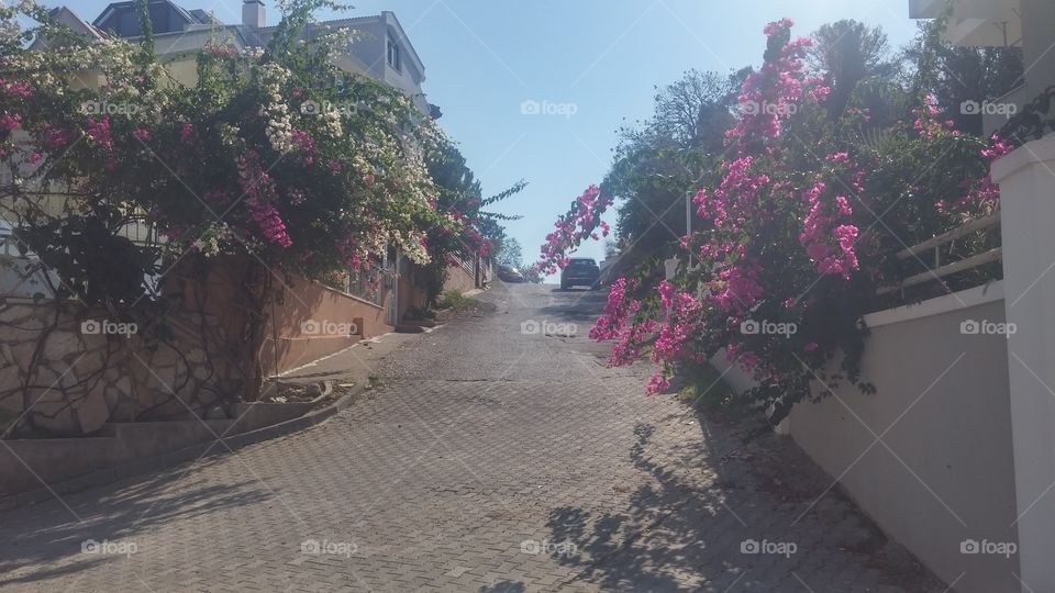 Street of Marmaris(Armutalan)51