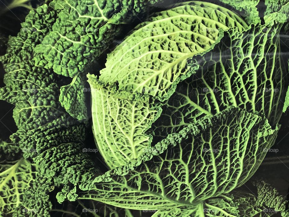 Cabbage is one of the crucial 5 a day we are advised that we need to maintain a healthy diet. This cabbage is delivering on quality.