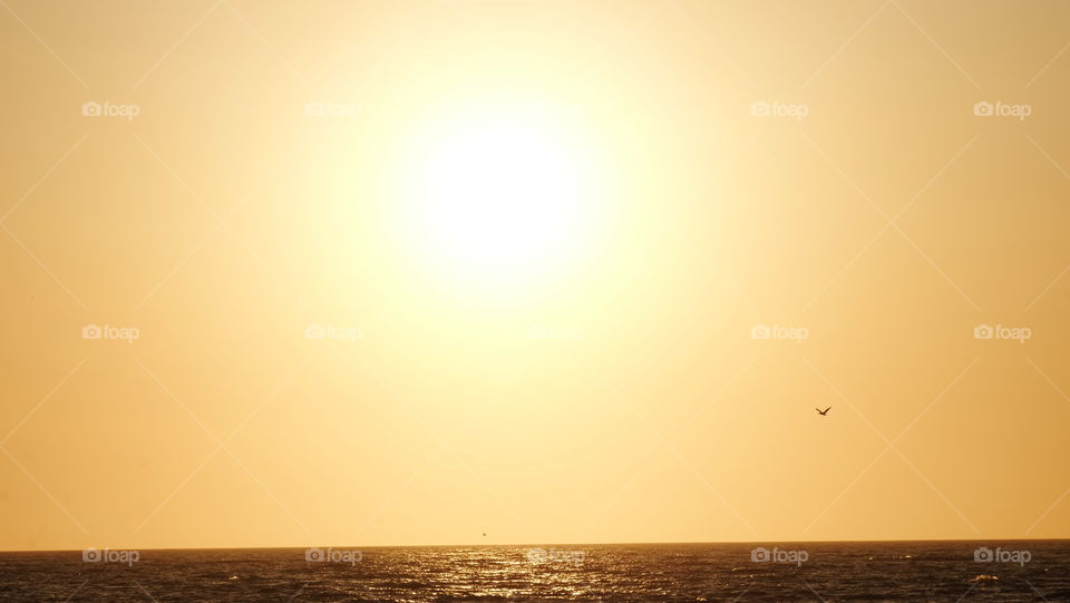 Across the sun, over the ocean