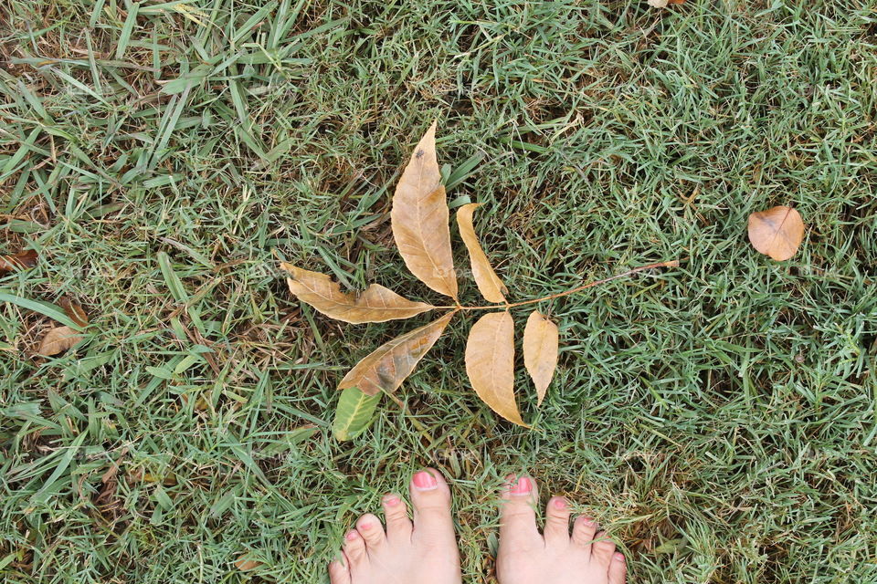 Barefoot in the grass 