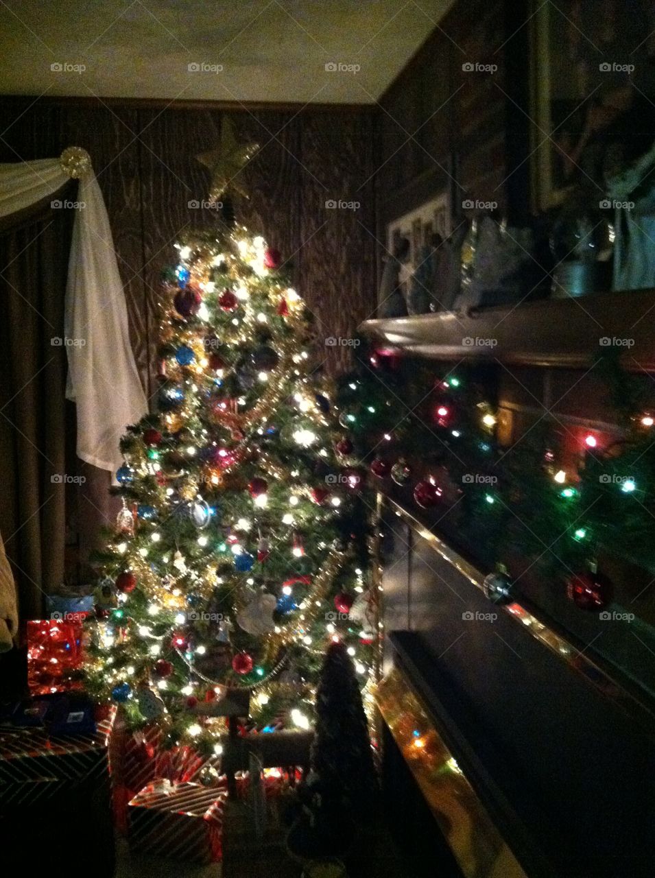 Christmas tree : holidays; lights