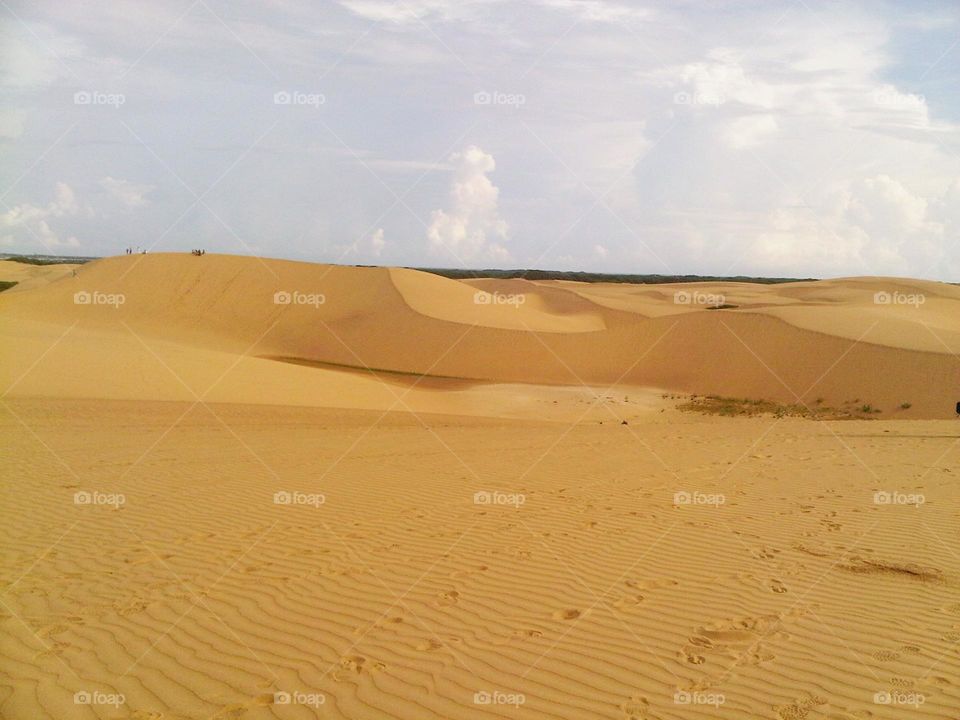 beautiful golden sands of Coro tourist place in Venezuela