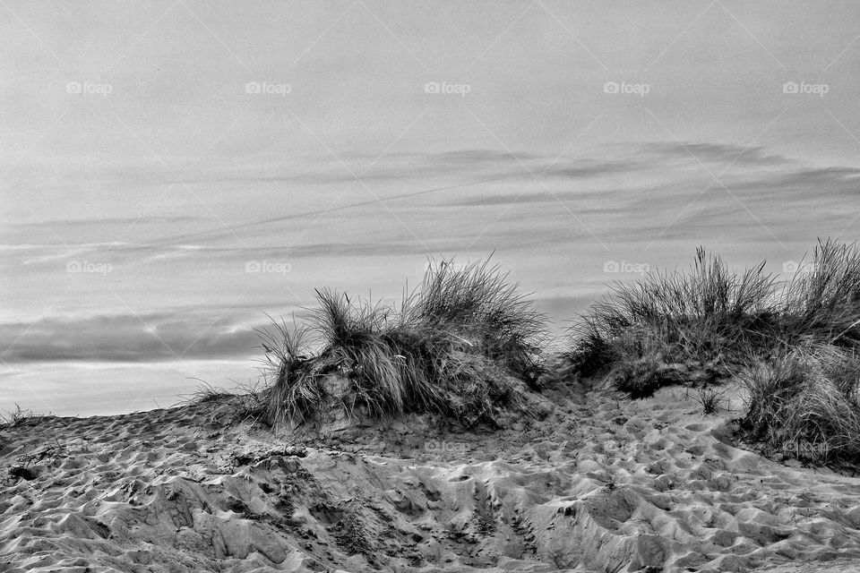 Black and white photo of a sandy beach with footprints and tall grass and cloudy sky at sunset 