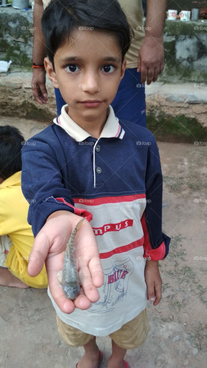 Fish in a hand | fish of village