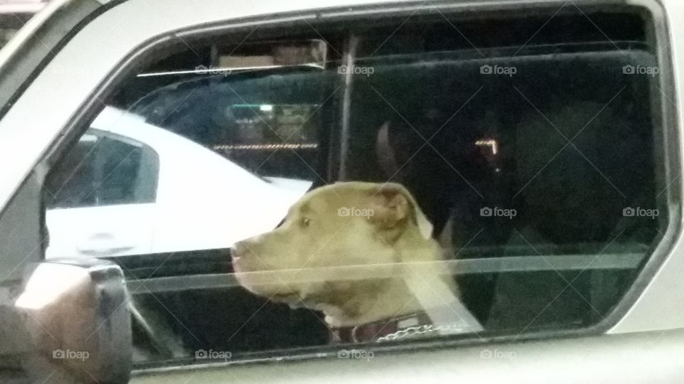 In the driver's seat