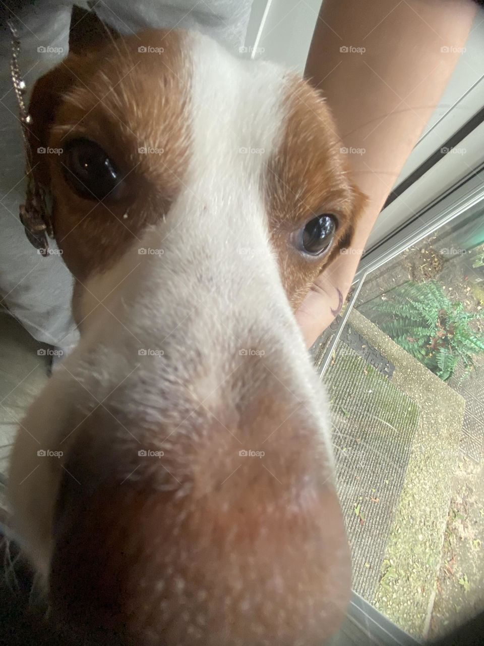 What’s that doing here