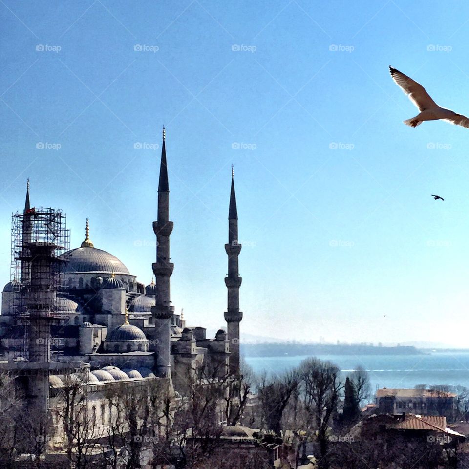 Blue Mosque, Istanbul, Turkey 