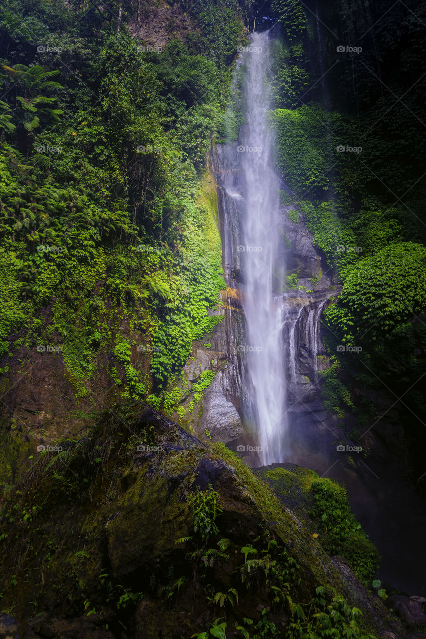 Waterfall from island Bali