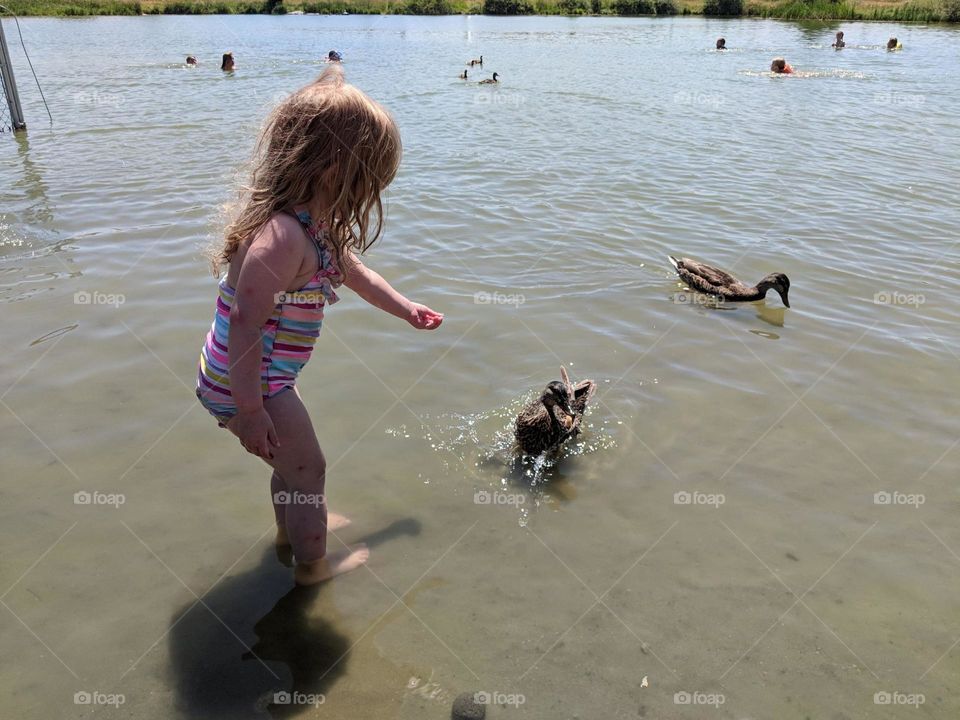 Feeding the Ducks