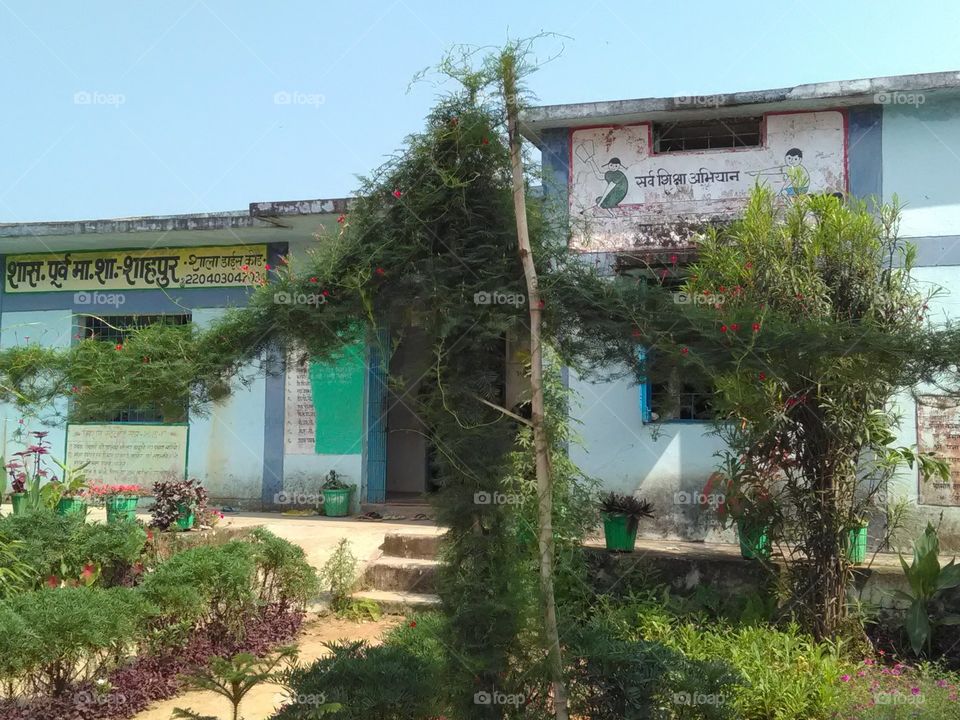 The school Garden is the beginning of our daily routine, the Garden feels like it is the experience of quite.