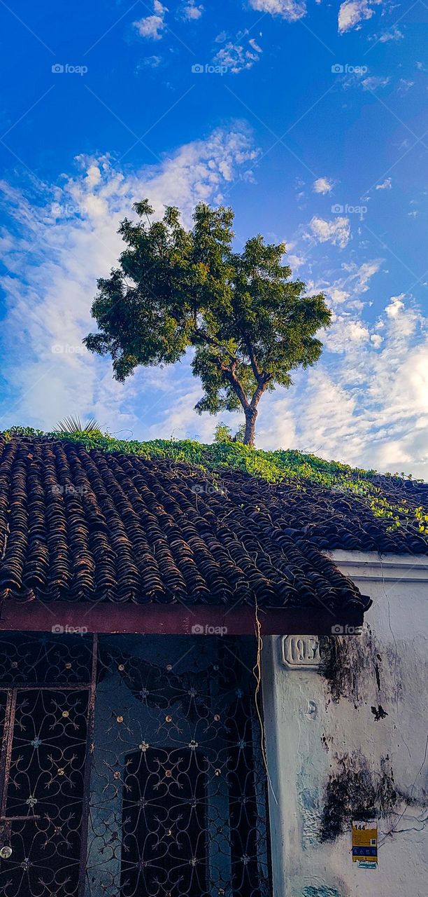 The Indian  Retro Home