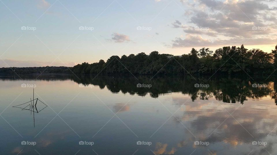 Water, Lake, Reflection, Tree, Landscape