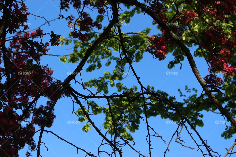 Spring Colors
Sunny Warm Day