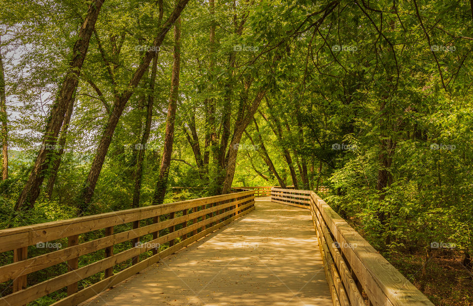 Boardwalk along Chattahoochee River with diminishing perspective