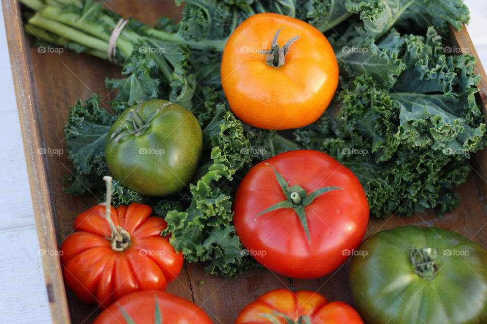 High angle view of tomatoes and kale