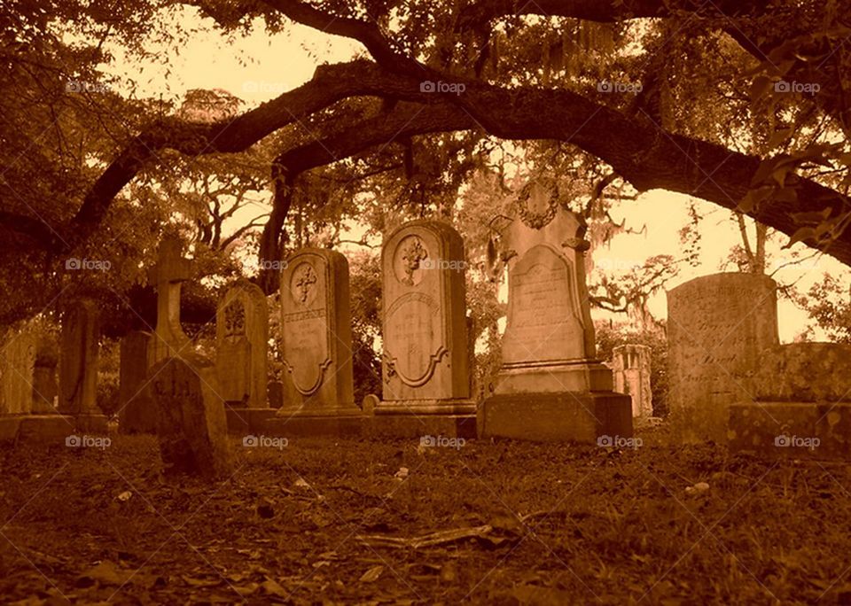 Haunted graveyard 