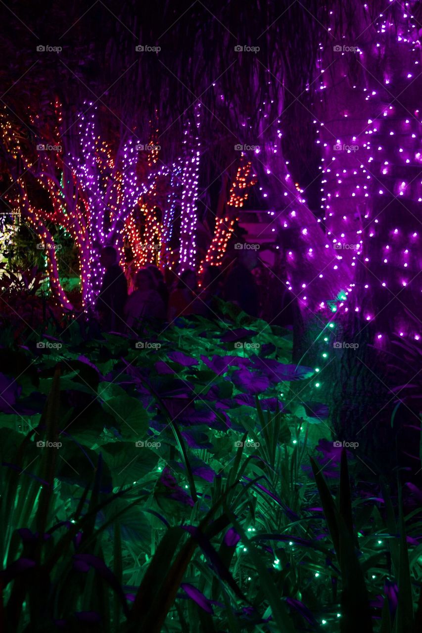 Garden Lights