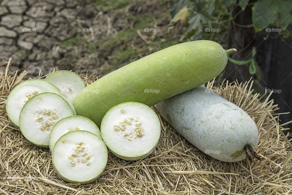 Winter melon is cut into pieces on the straw.